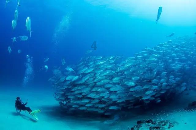 逃出海洋城堡